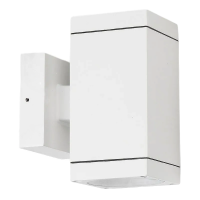 Светильник уличный 19109-2W Белый